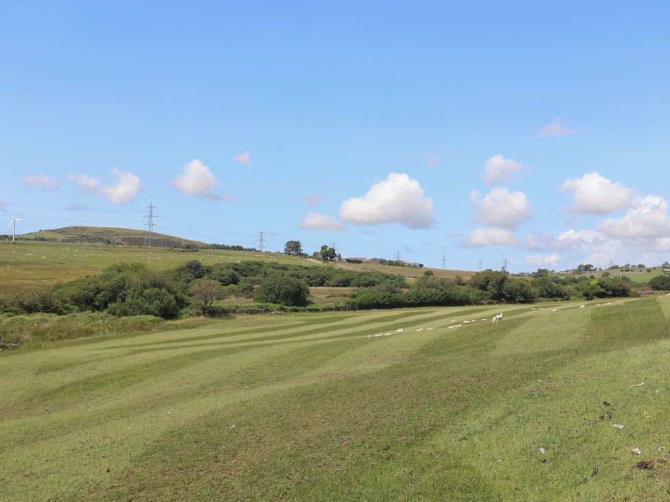 A grassy field with sheep and hills in the background at Bwthyn Derwin Fawr in Garndolbenmaen near Penygroes